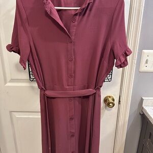 Rachel Zoe Pink Flutter Sleeve High Low Shirt Dress